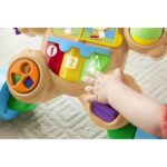 Deambulatore con ruote Fisher-Price Suono Luci Cane Multilingue