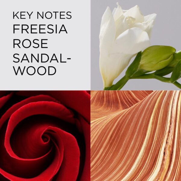 Profumo Donna Elizabeth Arden Red Door EDT 50 ml (Ricondizionati A)