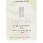 Set da Trucco Clinique ALL ABOUT SHADOW