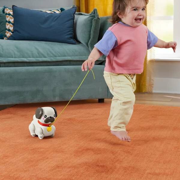 Cane Interattivo Fisher-Price