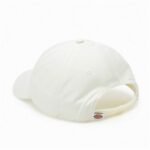 Cappello Sportivo Dickies Hardwick Cloud (Taglia unica)