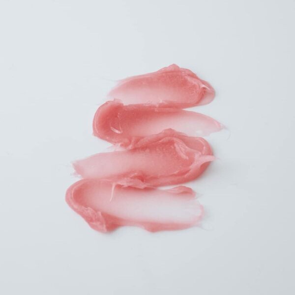 Set da Trucco Shiseido SYNCHRO SKIN