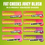 Set da Trucco NYX FAT CHEEKS