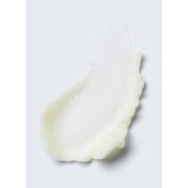 Struccante Viso Estee Lauder ADVANCED NIGHT REPAIR