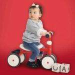 Bicicletta per Bambini Smoby Rookie Metal Carrier Rosso