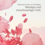 Crema Snellente L'Occitane En Provence FLEURS DE CERISIER