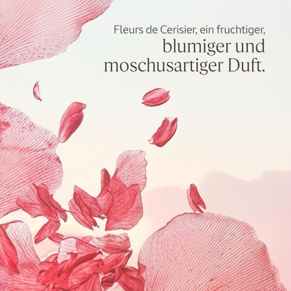 Crema Snellente L'Occitane En Provence FLEURS DE CERISIER