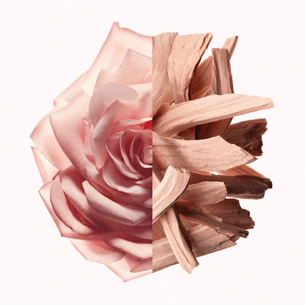 Profumo Donna Givenchy IRRESISTIBLE NUDE VELVET EDP 35 ml