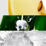 Profumo Donna Davidoff Cool Water Woman EDT 50 ml (1 Unità)