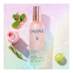 Acqua di Bellezza Caudalie Eau De Beaute 100 ml Fissante