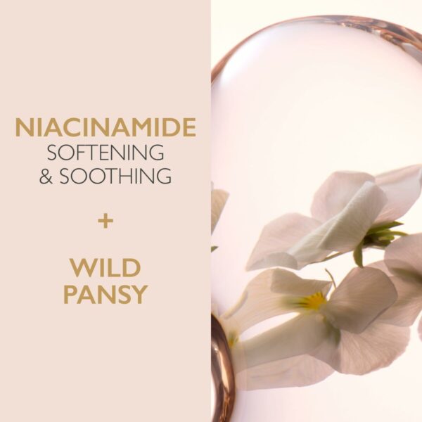 Crema Viso Lancaster Cleansers 400 ml