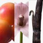 Profumo Donna Calvin Klein Euphoria 100 ml