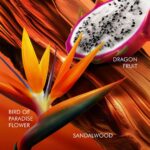 Profumo Donna Escada BALI PARADISE 100 ml