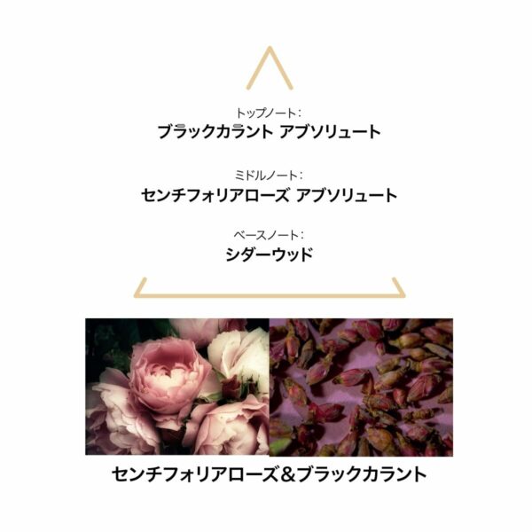 Profumo Donna Le Couvent des Minimes EDP