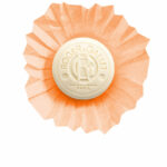 Saponetta Naturale Roger & Gallet ŒILLET 100 g