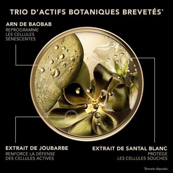 Crema Viso Lierac PREMIUM LIERAC 50 ml