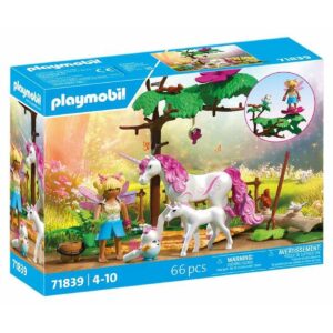 Playset Playmobil 71839
