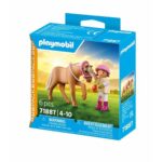 Playset Playmobil 71887
