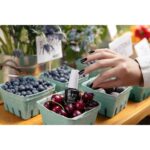 Correttore Viso Opi Nature Strong Onyx Skies 15 ml
