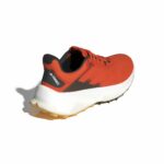 Scarpe da Uomo per Camminare Adidas Terrex Soulstride Rosso