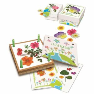 Set di Plastilina Hape