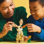 Set di Costruzioni Lego