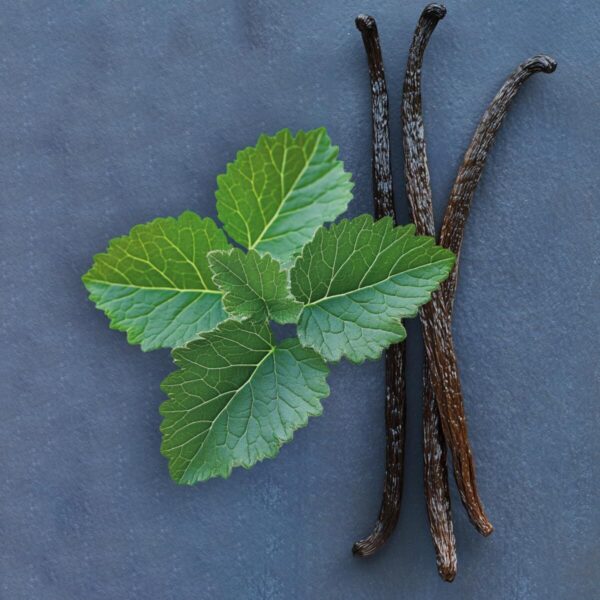 Profumo Donna Elie Saab LE PARFUM Le Parfum Royal EDP 50 ml