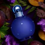 Profumo Unisex Britney Spears FANTASY 30 ml