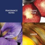 Profumo Unisex Britney Spears FANTASY 100 ml