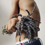 Profumo Uomo Tommy Hilfiger TOMMY Tommy 30 ml