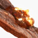 Profumo Uomo Tommy Hilfiger TOMMY NOW 100 ml