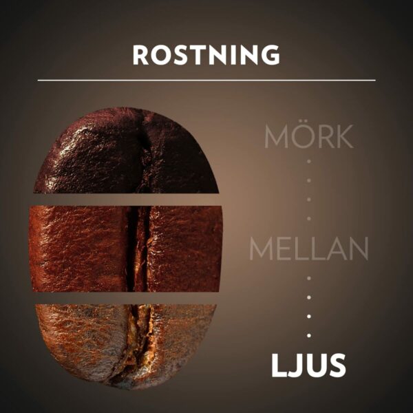 Caffè Macinato Lavazza 5852 1 kg