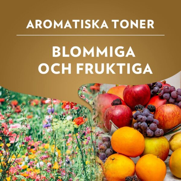 Caffè in Chicchi Lavazza Qualità Oro 1kg