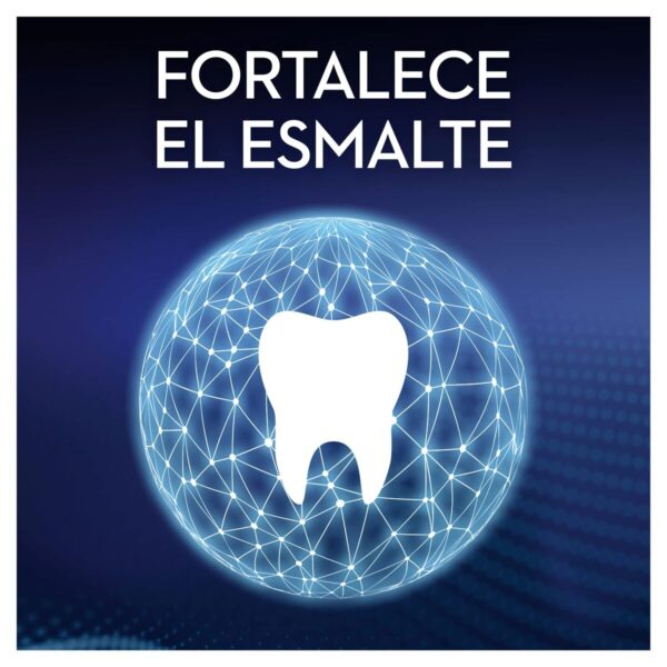 Necessaire Oral-B PRO-EXPERT