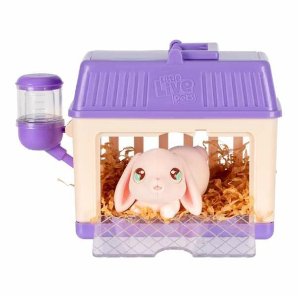 Animale Interattivo Famosa