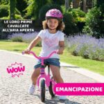 Bicicletta per Bambini Chicco 00001716100000 (Ricondizionati A)