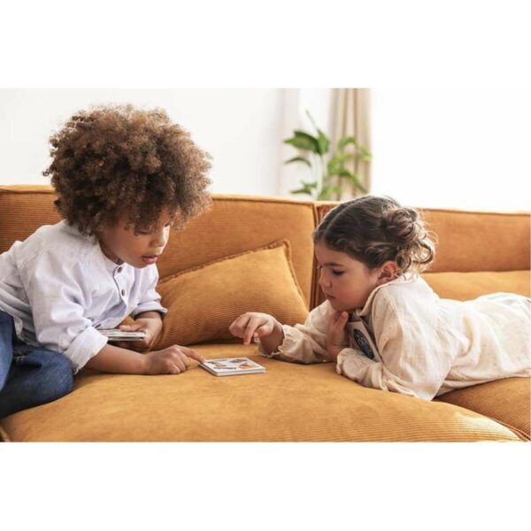 Gioco Educativo Diset