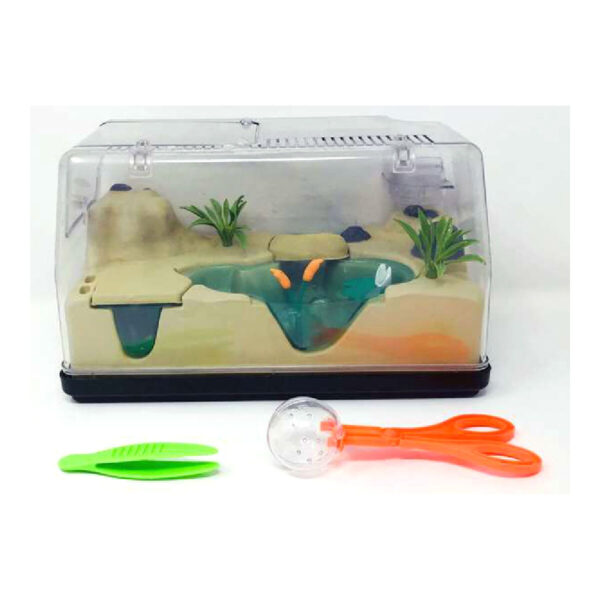 Gioco Educativo Insecticefa Plus Cefatoys (ES)