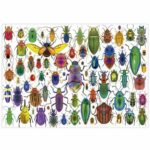 Puzzle Educa Beetles