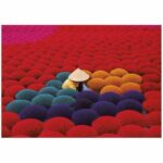 Puzzle Educa 20282 Incense Village, Vietnam