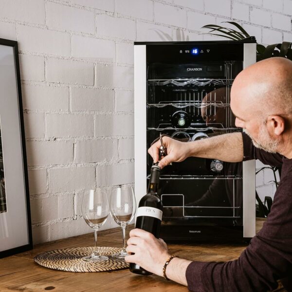 Enoteca Taurus CHANSON 24 43 x 45 x 74 cm Grigio