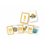 Gioco Educativo Cayro
