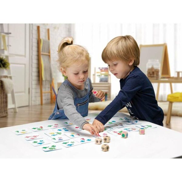 Gioco da Tavolo Cayro