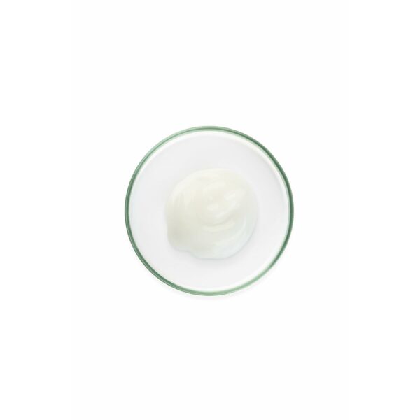 Crema Giorno Sensilis PURE AGE PERFECTION 50 ml