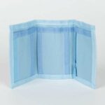 Set di Occhiali da Sole e Portafogli Bluey