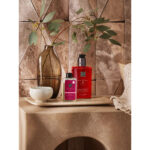 Gel Doccia Rituals THE RITUAL OF AYURVEDA 100 ml