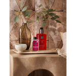 Gel Doccia Rituals THE RITUAL OF AYURVEDA 100 ml