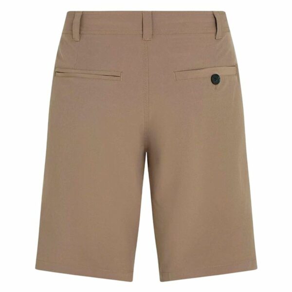 Shorts da Uomo O'Neill Hybrid 19” Marrone