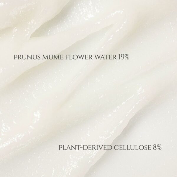 Gel Esfoliante Viso Beauty of Joseon APRICOT BLOSSOM 100 ml