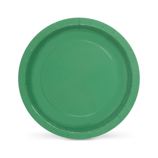 Set di piatti Algon Verde 20 cm 10 Pezzi (24 Unità)